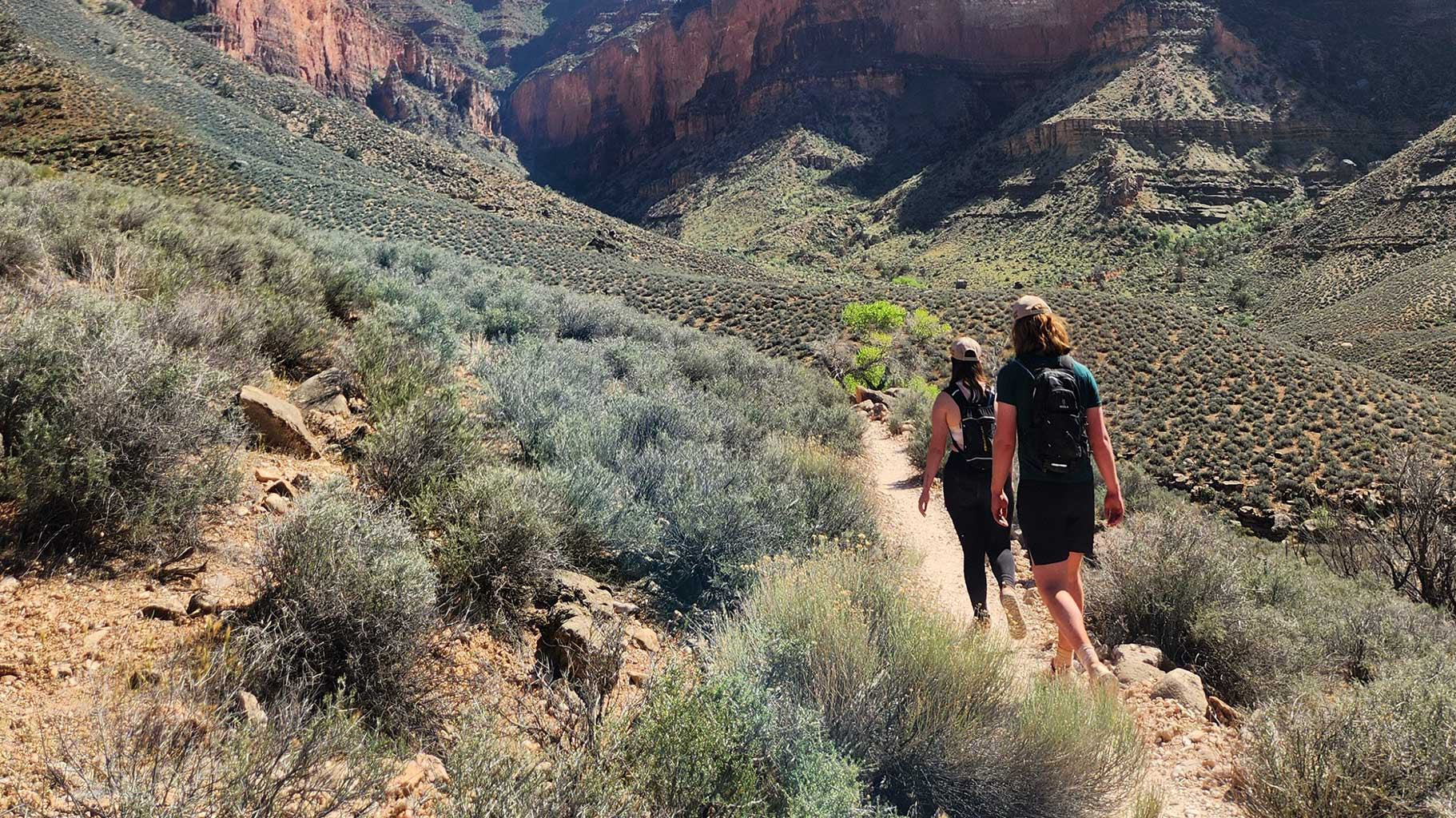 From Spreadsheets to Switchbacks