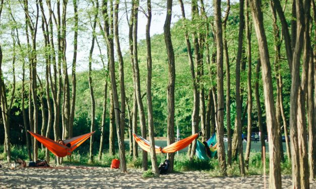 Best Hammocks Going Into 2021