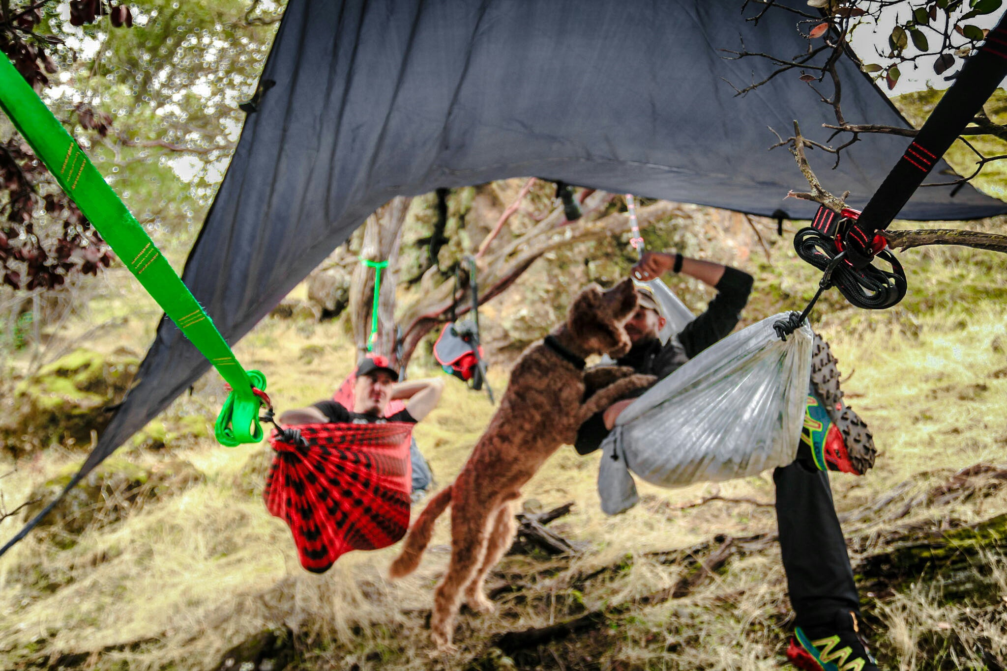 How to Plan a Camping Trip Under $200