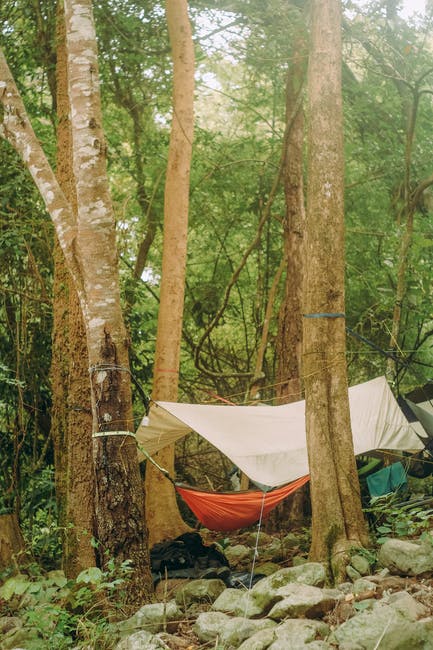 What to Look for in the Best Hammock Underquilt for Camping