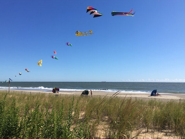 East Coast Road Trip: Where to Hammock Camp along the Way