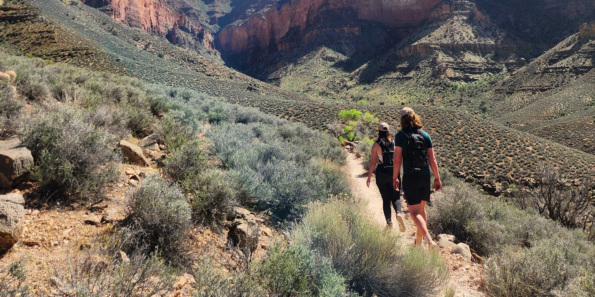 From Spreadsheets to Switchbacks