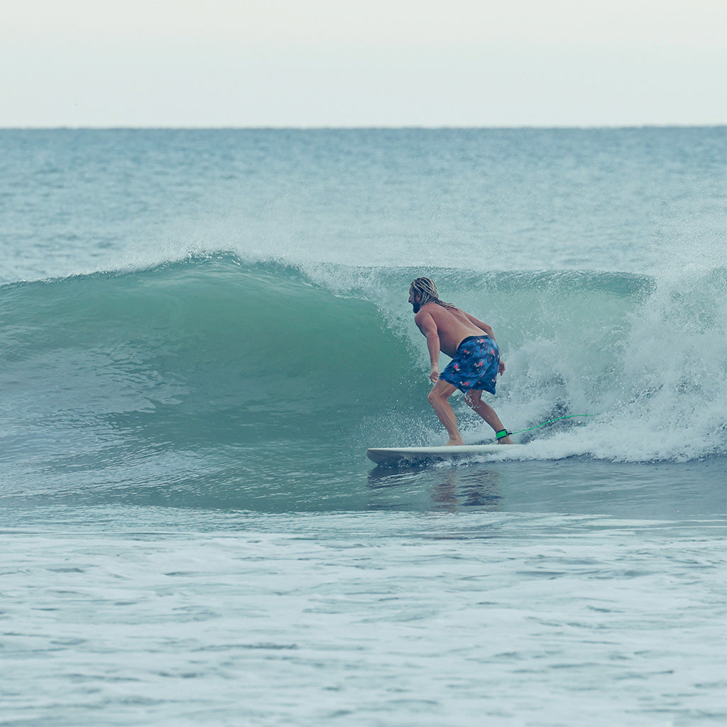 beach, surf, gear for oceans, lakes, sandproof, waterproof, sunproof, rainproof